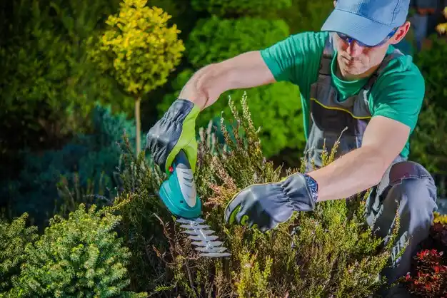 landscaping services Portage Lakes